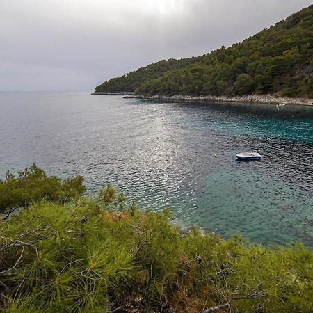 Secluded fisherman's cottage Cove Skozanje, Hvar - 4009 Gdinj Exteriör bild